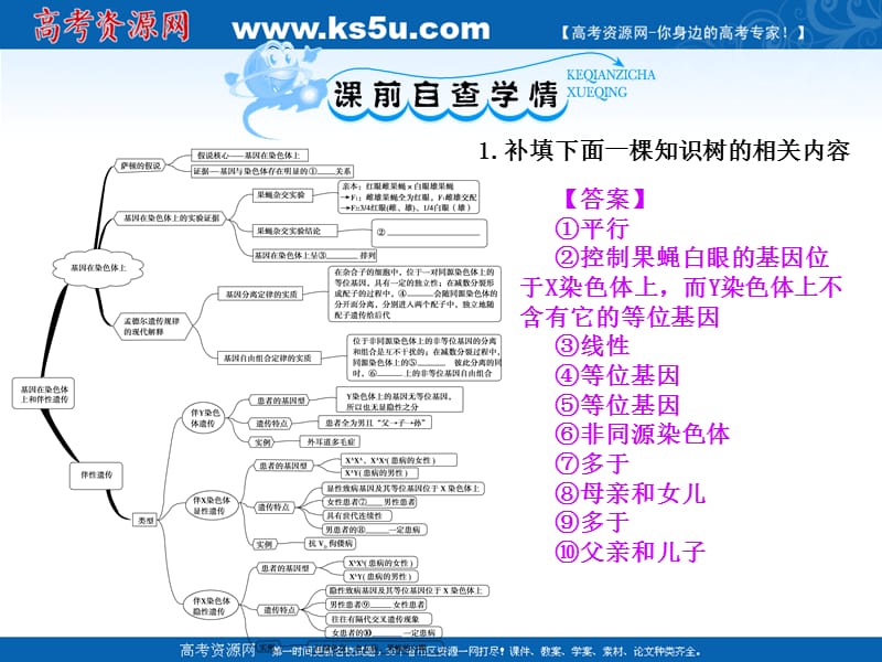 2012届高考生物一轮复习课件：2-2基因在染色体上和伴性遗传(人教版必修2).ppt_第2页