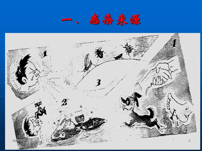 《病原微生物与传染》PPT课件.ppt_第3页