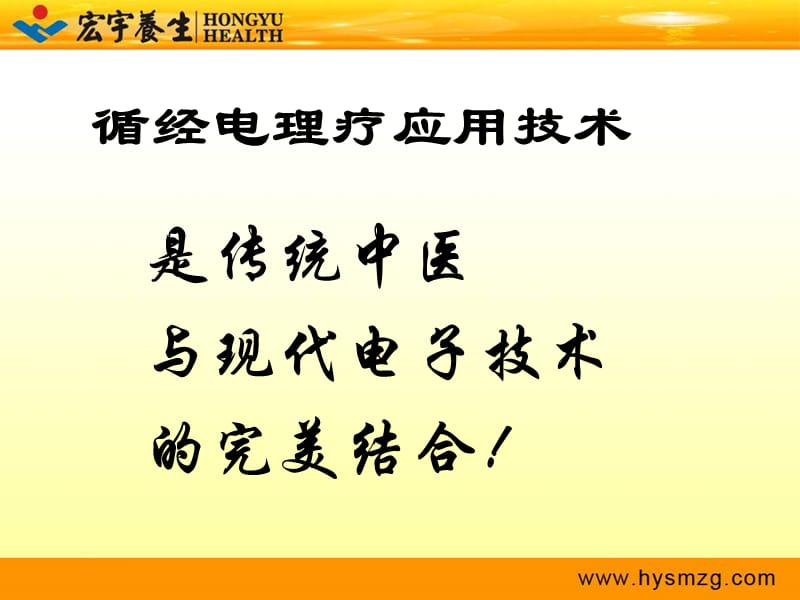 《神奇的经络电理疗》PPT课件.ppt_第3页