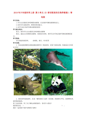 2019年六年級科學(xué)上冊 第5單元 23 密切聯(lián)系的生物界教案1 青島版.doc