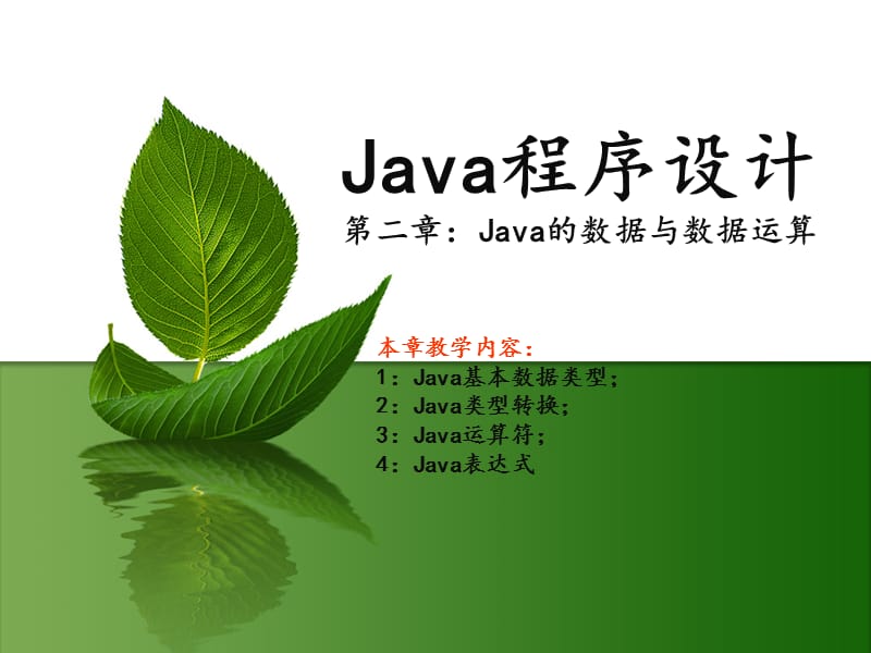 Java数据与数据运算.ppt_第1页