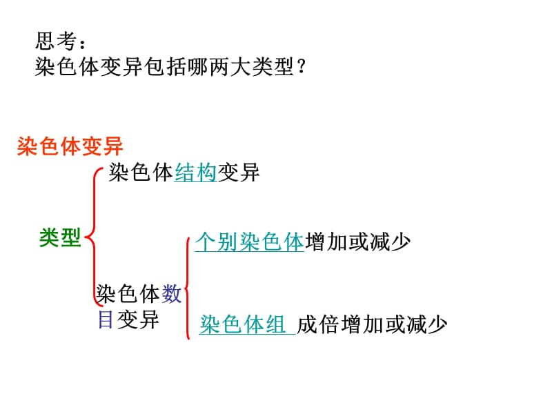 《染色体变异》PPT课件.ppt_第3页