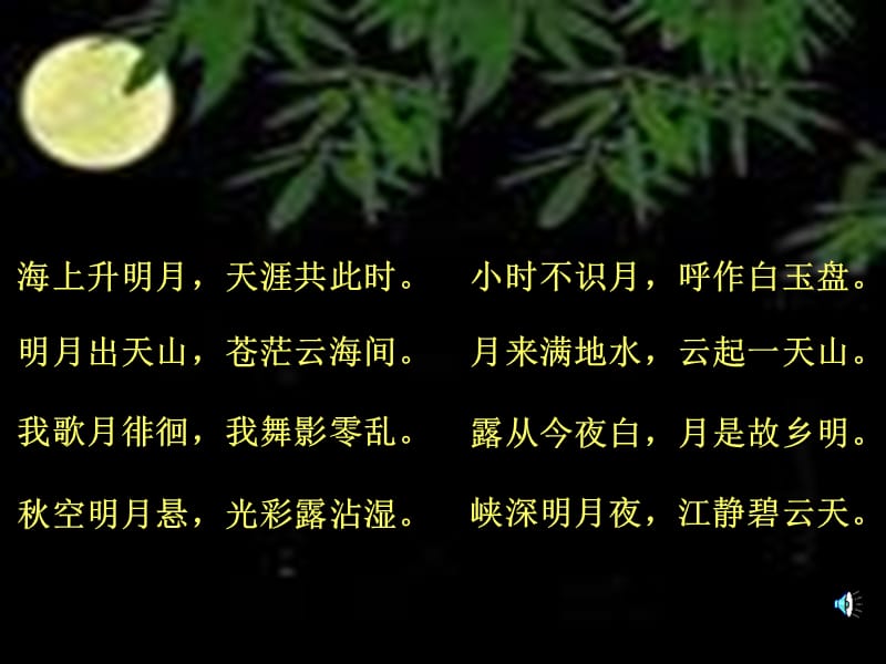 《月球之谜》课件PPT.ppt_第2页