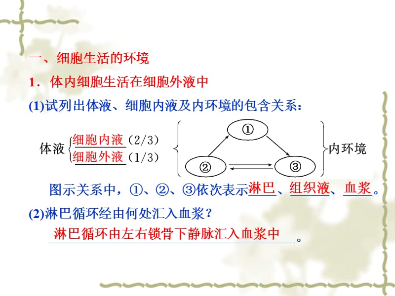 2013届高考生物一轮复习课件：必修314人体的内环境与稳态.ppt_第3页