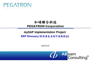 《SAP中英名词解释》PPT课件.ppt