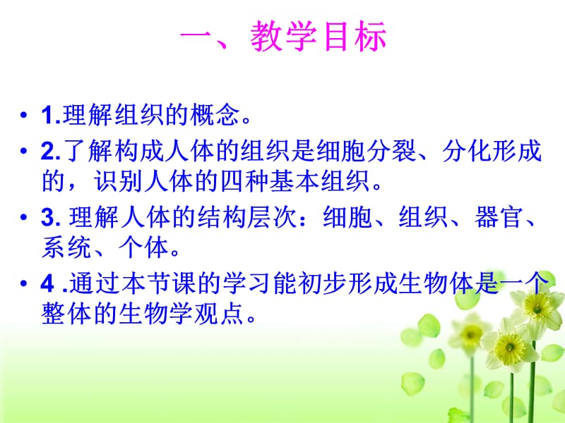 《动物体的结构层次》PPT课件.ppt_第3页