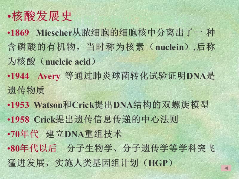 《核酸的化学结构》PPT课件.ppt_第2页