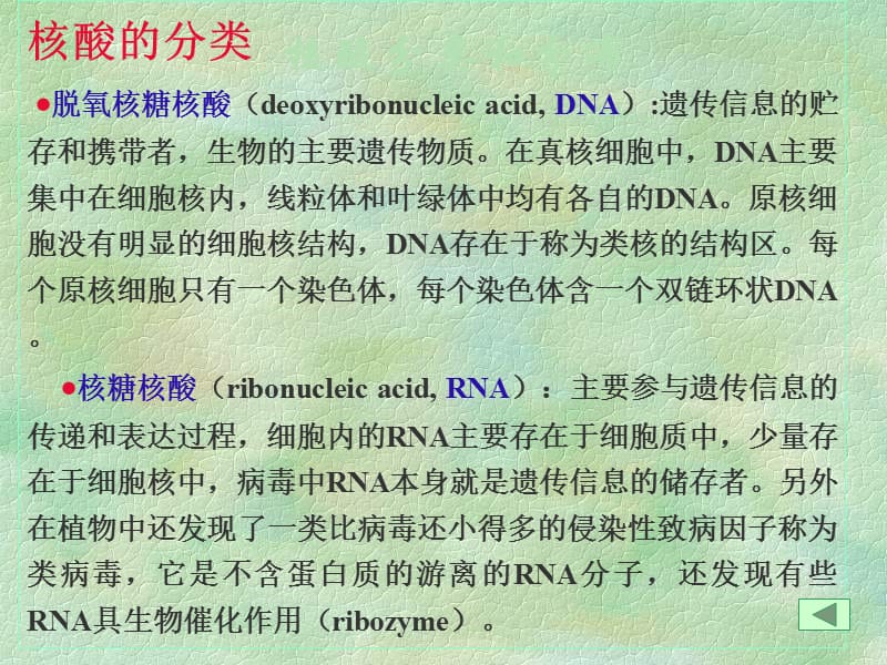 《核酸的化学结构》PPT课件.ppt_第3页