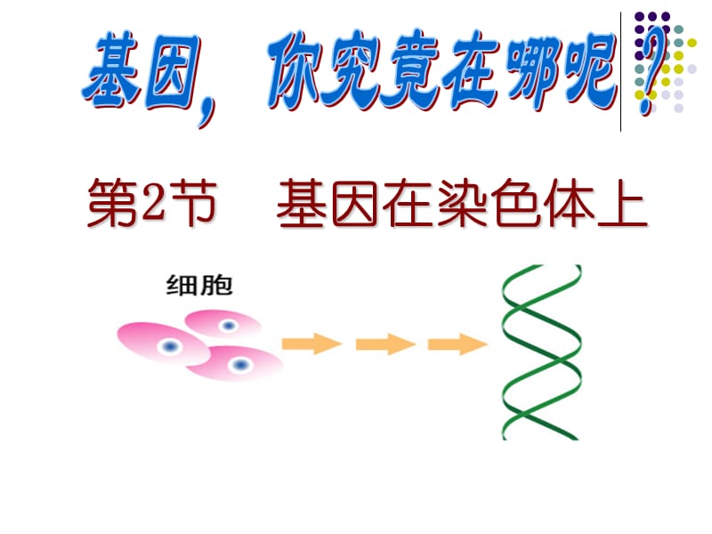 《基因在染色体上》PPT课件.ppt_第1页