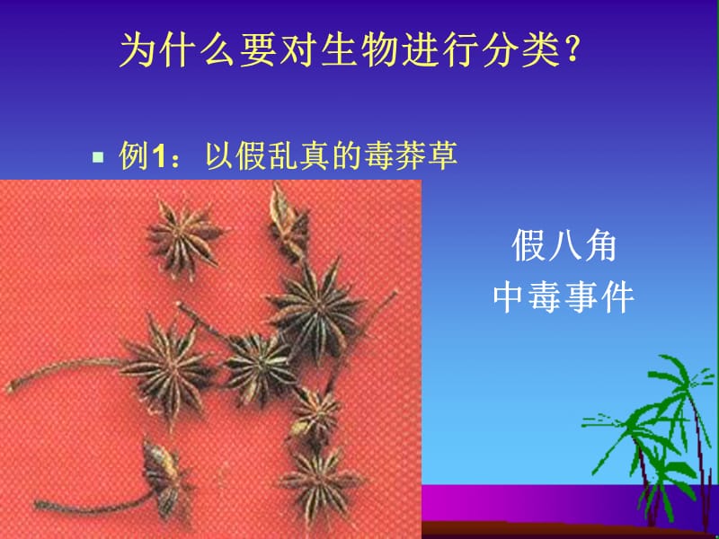 《生物分类基础知识》PPT课件.ppt_第3页