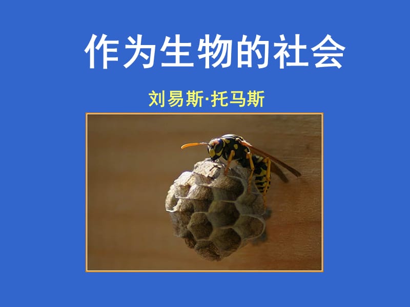 《作为生物的社会》PPT课件.ppt_第1页