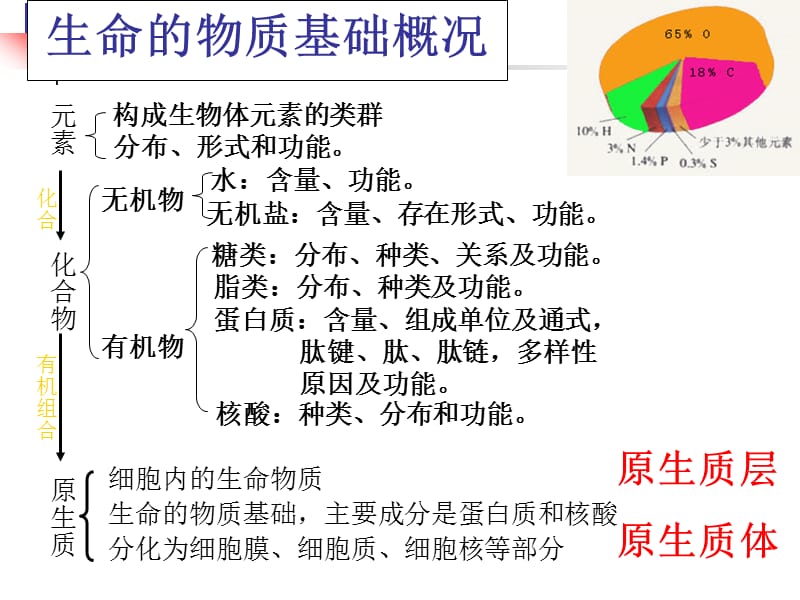 《生命的物質(zhì)基礎(chǔ)》課件.ppt_第1頁