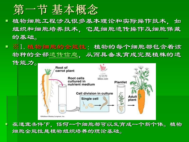 《植物细胞工程制药》PPT课件.ppt_第2页