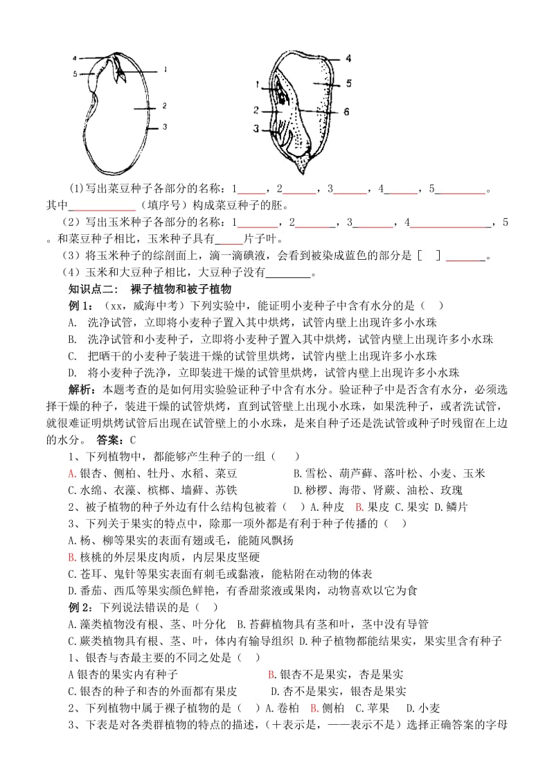 2019年六年级生物下册 第三单元 第一章 第三节 种子植物学案（答案不全） 鲁科版五四制.doc_第3页