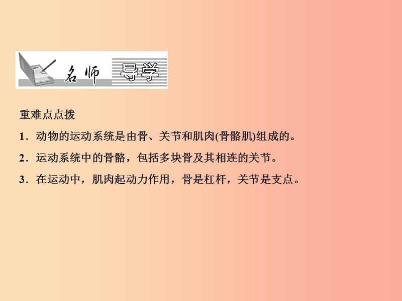 2019年八年级生物上册 第5单元 第2章 第1节 动物的运动（第1课时 运动系统的组成）习题课件 新人教版.ppt_第2页