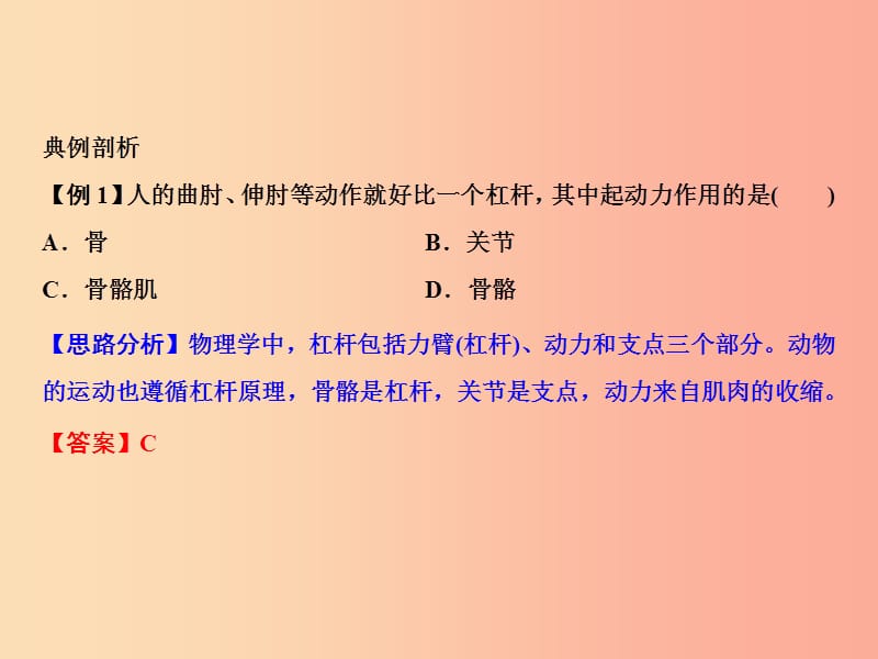 2019年八年级生物上册 第5单元 第2章 第1节 动物的运动（第1课时 运动系统的组成）习题课件 新人教版.ppt_第3页