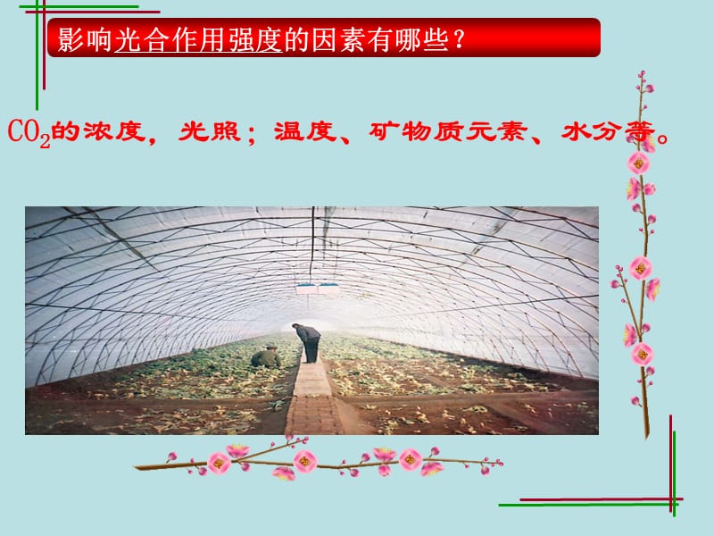 《光合作用的应用好》PPT课件.ppt_第2页