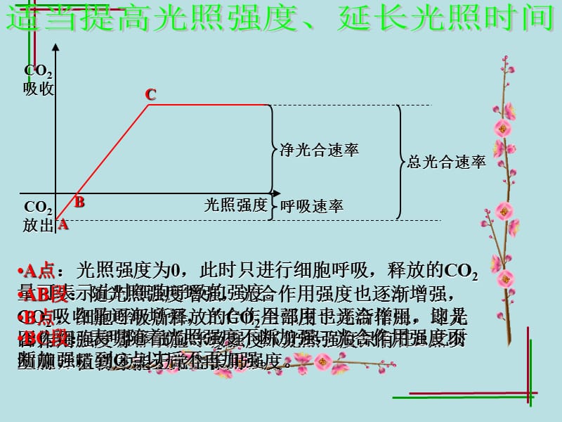 《光合作用的应用好》PPT课件.ppt_第3页