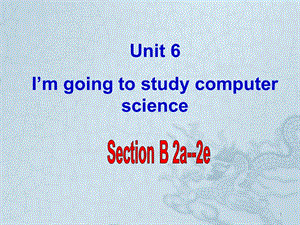 新人教版unit6 sectionB 2a-2eppt課件