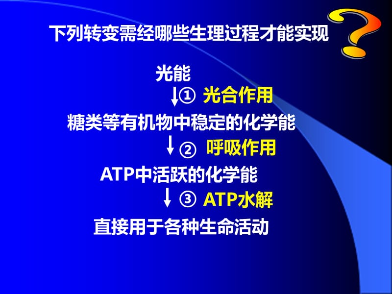 《细胞呼吸作用》PPT课件.ppt_第2页