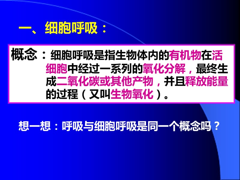 《细胞呼吸作用》PPT课件.ppt_第3页