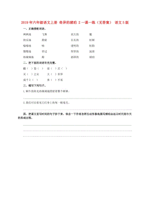 2019年六年級語文上冊 奇異的琥珀 2一課一練（無答案） 語文S版.doc