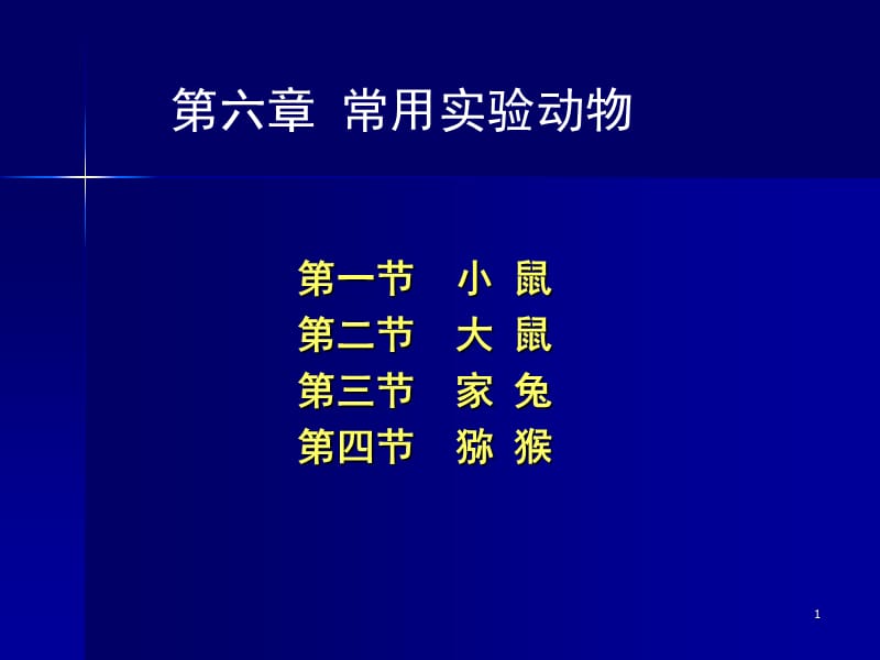 《小鼠种类及特性》PPT课件.ppt_第1页