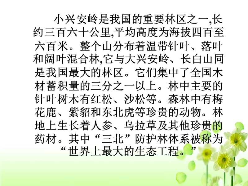 《美丽的小兴安岭》教学课件.ppt_第2页