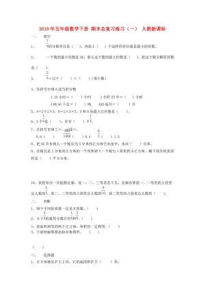 2019年五年級數(shù)學下冊 期末總復習練習（一） 人教新課標.doc