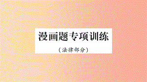 寧夏2019中考道德與法治考點復習 第一篇 解題技巧 題型突破 題型六 漫畫題專項訓練課件.ppt