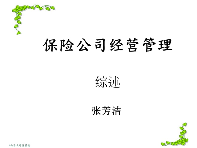 《保险经营管理综述》PPT课件.ppt_第1页