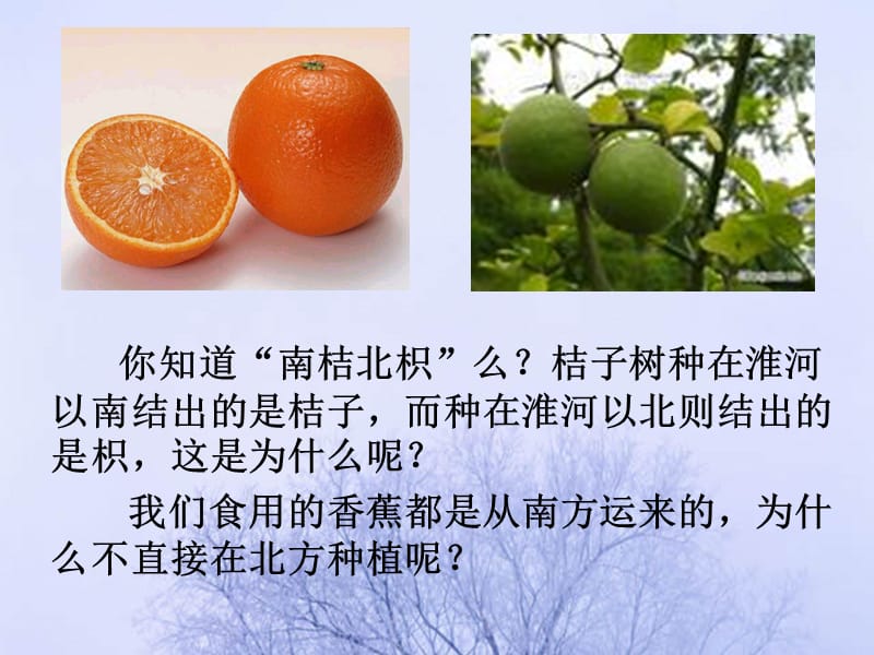 《生物生存的环境》PPT课件.ppt_第2页