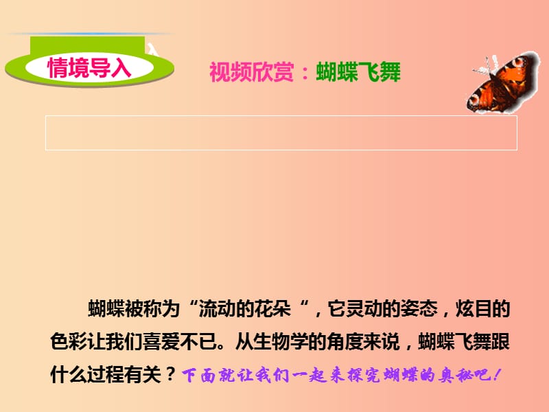 2019年八年级生物上册4.2.1昆虫的生殖和发育课件1新版济南版.ppt_第2页