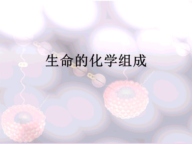 《生命的化学组成》PPT课件.ppt_第1页