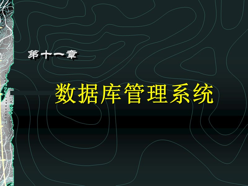 《数据库管理系统》PPT课件.ppt_第1页