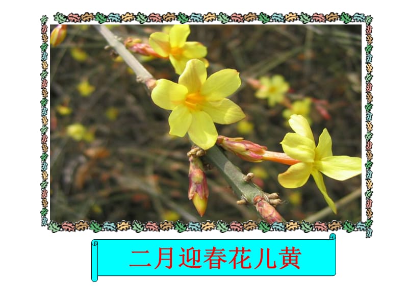 《十二月花》课件(北京版二年级语文上册课件).ppt_第3页