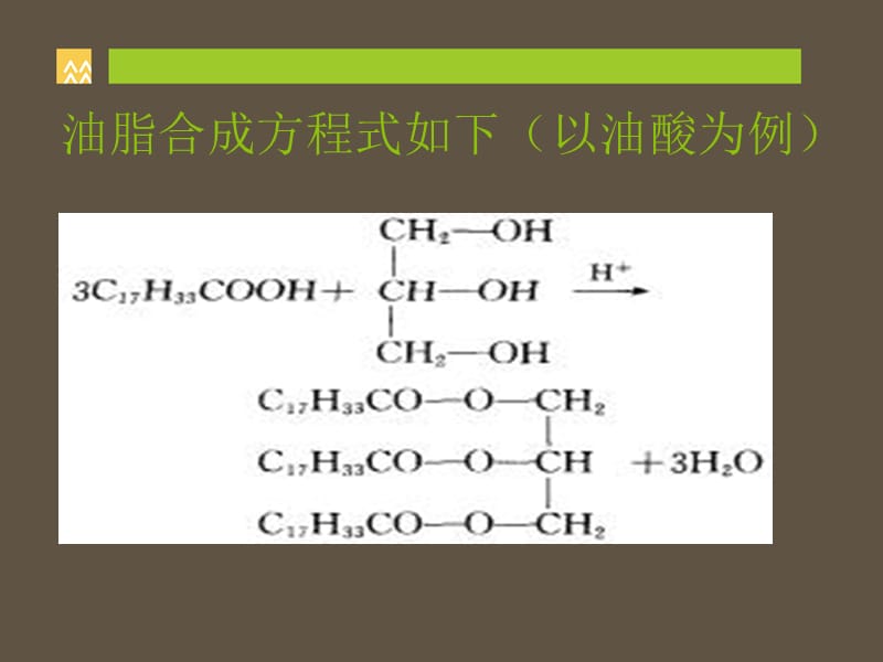 《玉米油加工知识》PPT课件.ppt_第3页