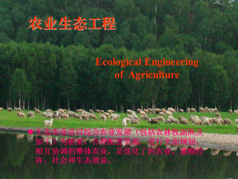 《农业生态工程》PPT课件.ppt_第1页