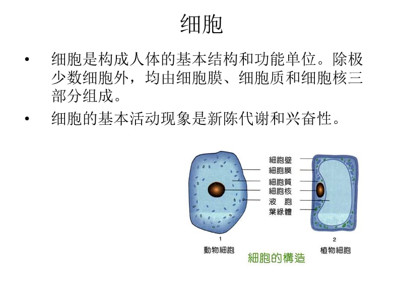 《医学基础copy》PPT课件.ppt_第3页