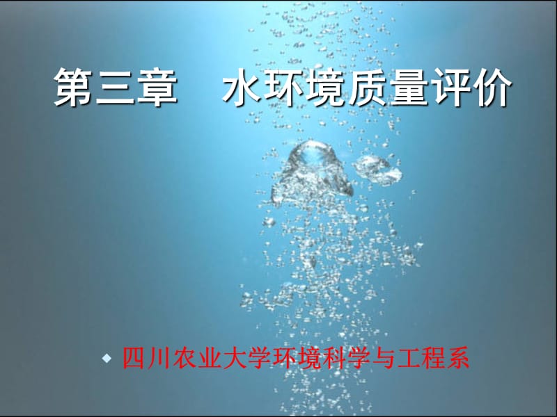 《水环境质量评价》PPT课件.ppt_第1页