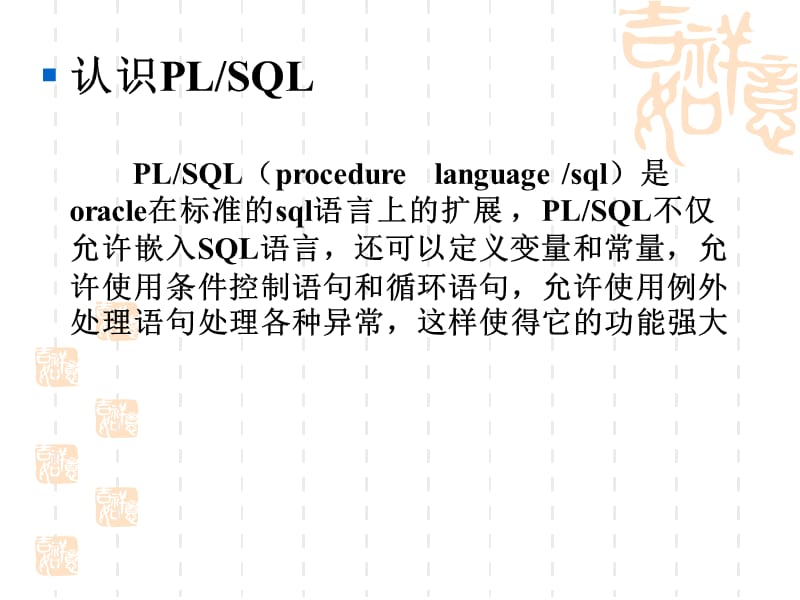 《PL／SQL程序设计》PPT课件.ppt_第3页