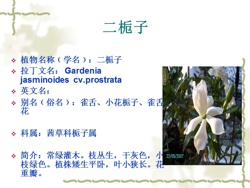 四川教育学院植被调查.ppt_第2页