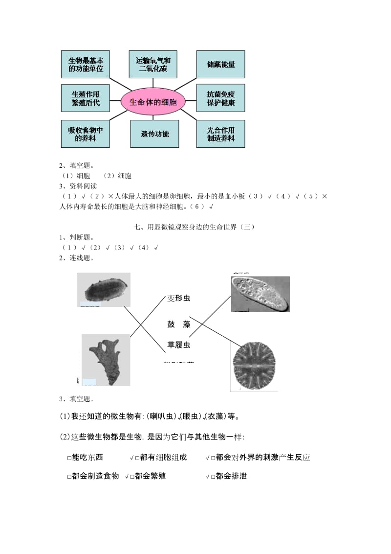 2019年新教科版六年级下册科学作业本参考答案(含活动记录).doc_第3页