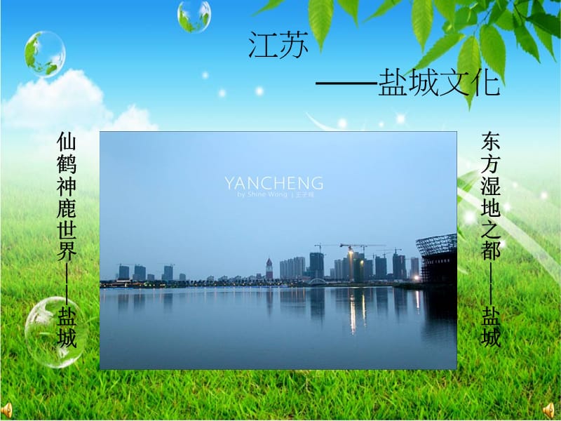 关于盐城文化的PPT.ppt_第1页