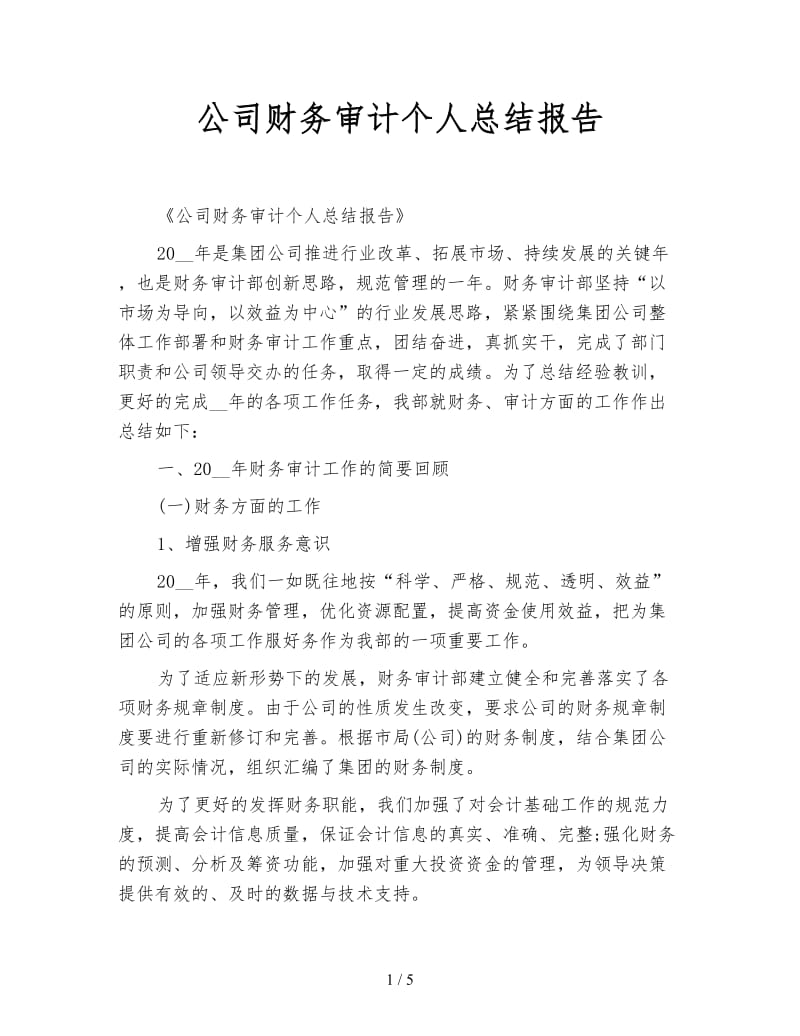 公司财务审计个人总结报告.doc_第1页