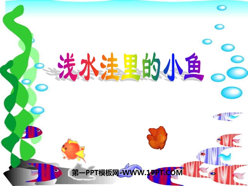 人教版小学语文二年级上册《浅水洼里的小鱼》PPT课件.ppt_第1页