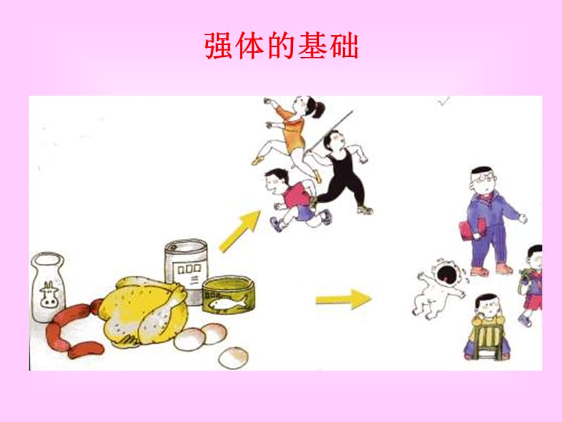 动物与人类生活的关系.ppt_第3页