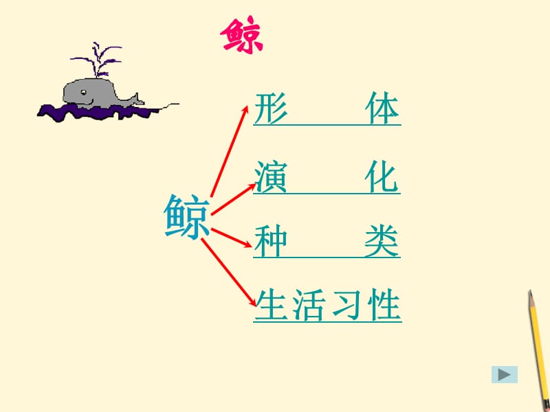 五年级语文下册鲸5课件北京版.ppt_第3页