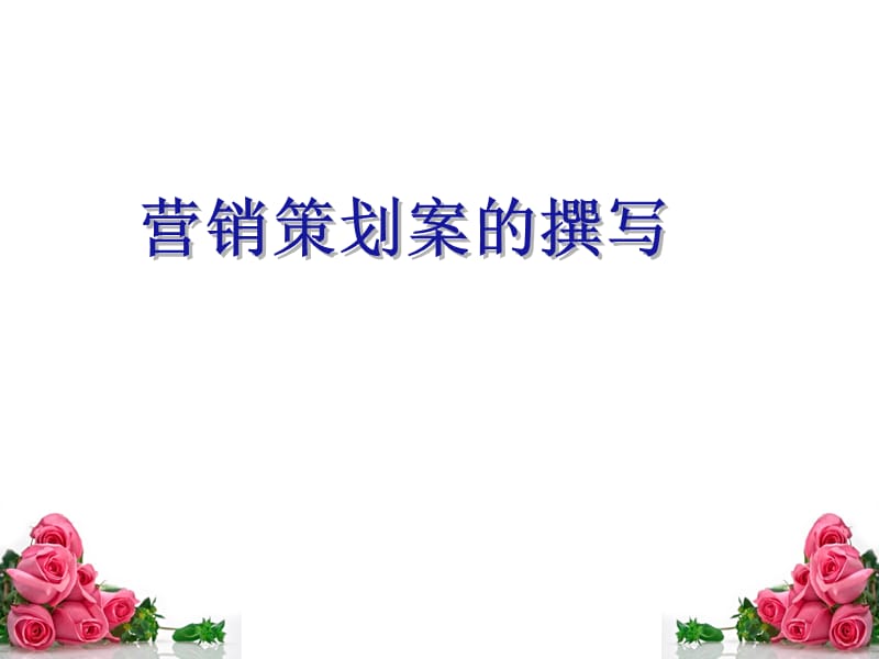 上课用营销策划方案的撰写.ppt_第1页