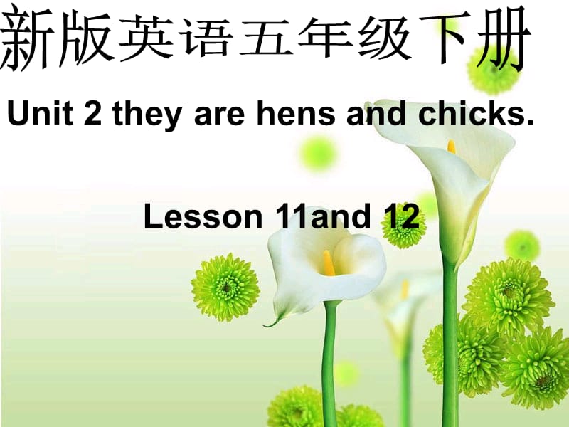 人教新版小学五年级英语下册lessons.ppt_第1页